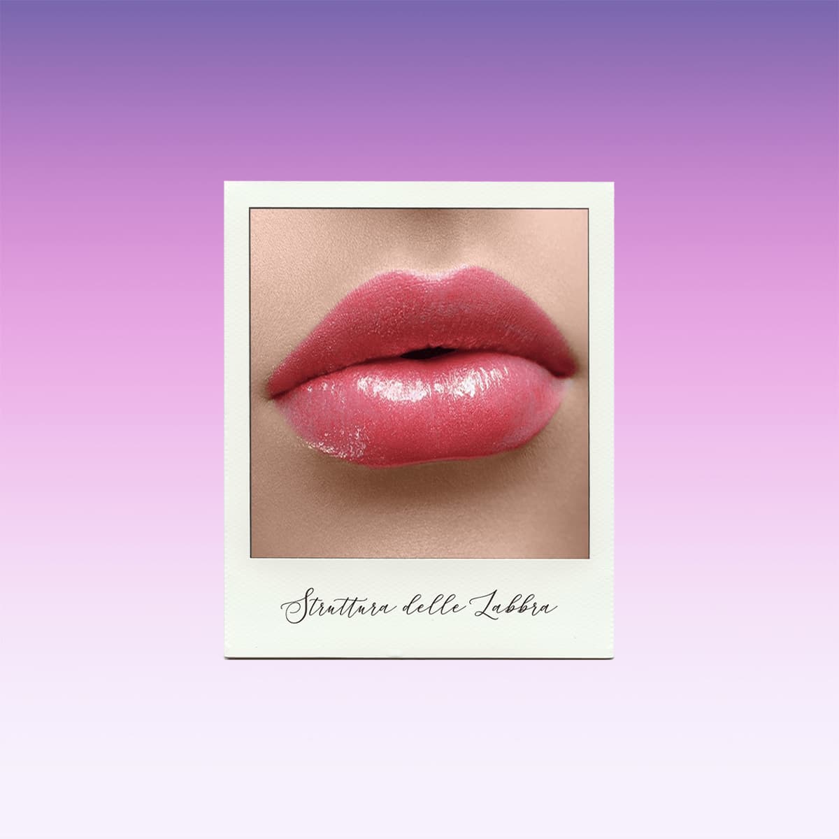 STRUTTURA DELLE LABBRA